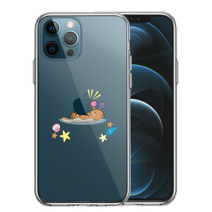 iPhone12 Pro ʃ\tg wʃn[h nCubh NA P[X bR Abv H