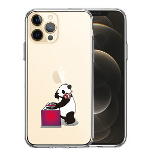 iPhone12 Pro ʃ\tg wʃn[h nCubh NA P[X p_ DJ