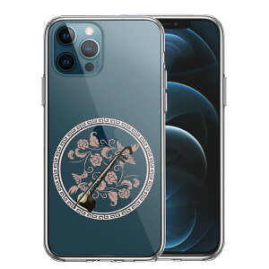 iPhone12 Pro ʃ\tg wʃn[h nCubh NA P[X y 
