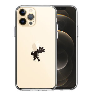 iPhone12 Pro ʃ\tg wʃn[h nCubh NA P[X fpfB V i 2