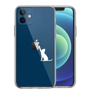 iPhone12mini ʃ\tg wʃn[h nCubh NA P[X L CAT ˂ ɂ ʗV 