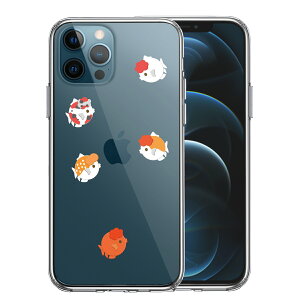 iPhone12 Pro ʃ\tg wʃn[h nCubh NA P[X  񂿂イ