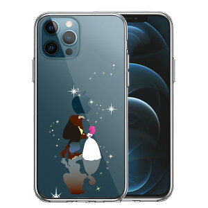 iPhone12 Pro ʃ\tg wʃn[h nCubh NA P[X WPbg Ɩb