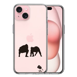 iPhone 15 Plus ʃ\tg wʃn[h nCubh NA P[X o  d؂