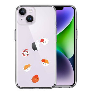 iPhone 14 Plus ʃ\tg wʃn[h nCubh NA P[X  񂿂イ