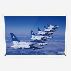 AN v[g ʐ^ q󎩉q u[CpX T-4 ґs fUC X^h Ǌ| p