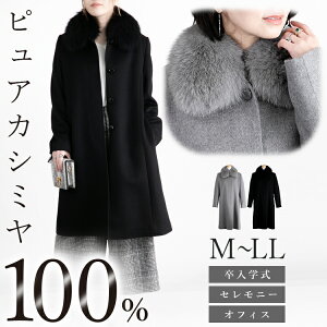 ytH[}ΉzsAJV~OR[g(tHbNXt@[O) JV~100