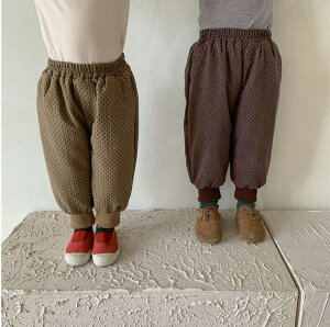 H~V ̎q j̎q pc {gX  pc  q LbY 