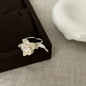 fB[XANZT[E ؍t@bVEI[vOEw