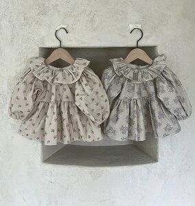 tĐV ؍ ̎q   s[X 킢 q