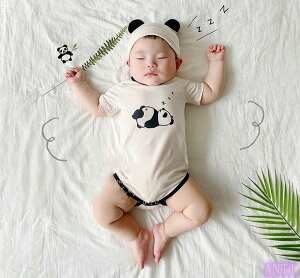 V INS LbY q jA̕+Xq Zbg  lC Vi