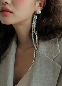 INSX^C ^̎  v[gr[`   tW ZNV[ sAX