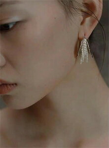 NIeBۏqbg h[ic̎ t[vsAX ^̎  ֒   