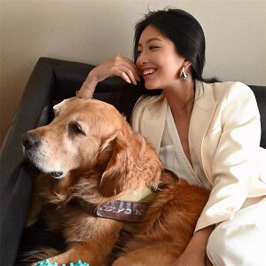 t@bVuO傪Dȏi  Vv C^sAX HsAX j ZNV[ sAX