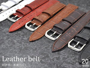 rvE{v20mmEpɁJt5F 20mmvp{vxgI