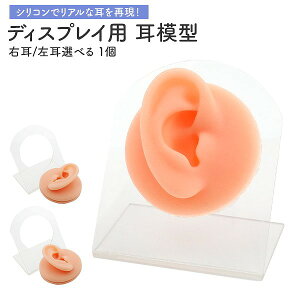 fBXvCp ͌^ X^ht E/VRŃAȎČI