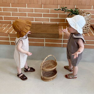 tĎq JWAn  p[X ؍ xr[ LbY A̕ 2FWJ[66~100cm]