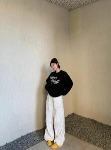 tHfB[X JWAn pvg g[i[ ؍ N gbvX Ci[Vc