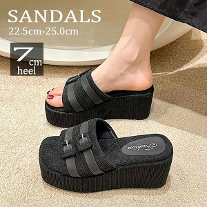 V X^CAbv ʋC Xj[J[ y y  R[fC EFbW\[