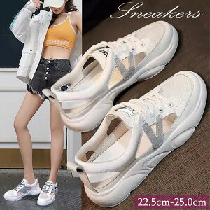 V fB[X Xj[J[ T_ RC V[Y ʋC y ʋC Vv