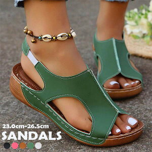 V T_ C ƂȂ JWA AEghA ~ ANXgbv tďH  F