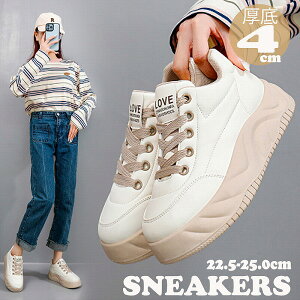 V fB[X nCJbgXj[J[ RC V[Y e  X^CAbv 4cm 