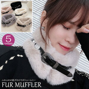 fB[X }t[ h XJ[t  ^ p[GRt@[ {A  ӂӂ sN 