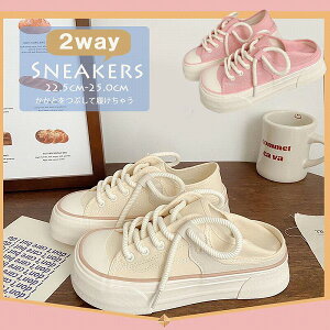 V fB[X x[VbN Xj[J[ RC V[Y Vv ig zCg  킢