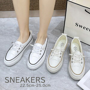 V fB[X x[VbN Xj[J[ RC V[Y Vv ig zCg  킢