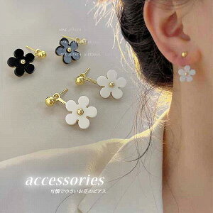 fB[X ANZT[ sAX h t[  S[h   zCg