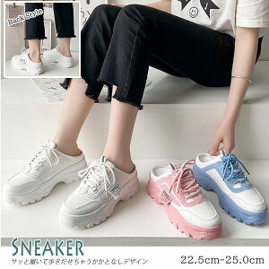 V fB[X Xj[J[ V[Y C RC [Jbg y ~ ƂȂ