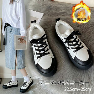 VH~ Aj}   N ۉ Xj[J[ V[Y r oCJ[ r