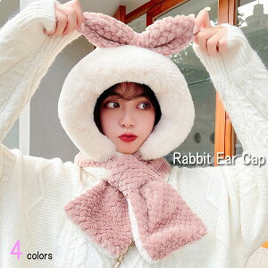 H~V fB[X Xq t[h }t[  {At@[ tFCNt@[  t[X