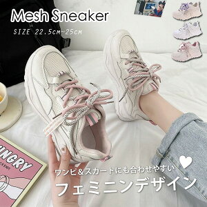 tĐV fC[ _bhXj[J[ V[Y r y  ʋC x[VbN