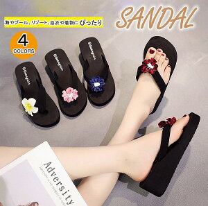 fB[XXbp p EFbW\[ r[`T_   ~