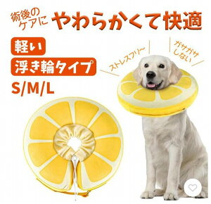 GUxXJ[ L  J[ p Lp GUxX p p ybg \tg GUxXEFA