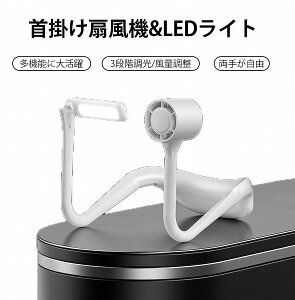 2in1@LEDCg @ | gѐ@ USB[d 4000mAh Ǐ d zCg nfBt@