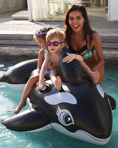  t[g l@fB[X Y T[t{[h^  v[pi C j@