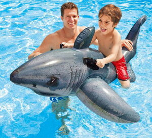  t[g l@fB[X Y T[t{[h^  v[pi C j@