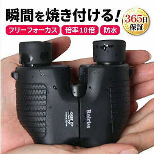 oዾ RT[g y { Cup 10{ t[tH[JX I[g 25a ړ Cu X|[c