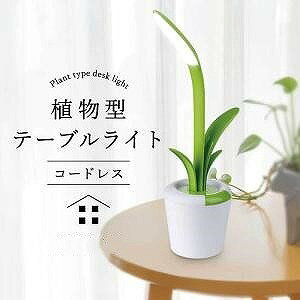 fXNCg t  LED R[hX USB[d ڂɗD X^h Q 邢 Ɩ px\