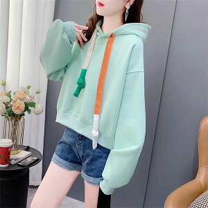 g[i[  t H fB[X K[Y gbvX n Vv ؍@t[ht