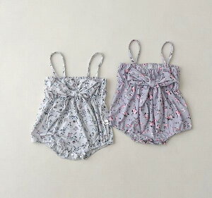 q LbYrLj ꐅ I[C A̐