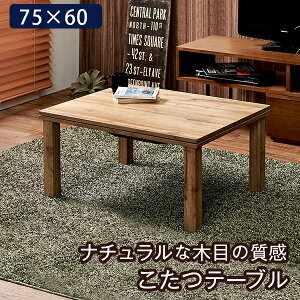 JWAR^c JeX 75×60cm AȖؖڕ ȃGl RpNg l炵 [ g  e[u JeX7560 (za119)