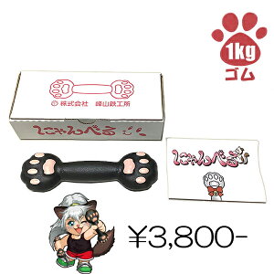 _x@S@1.0kg GNTTCY@̑ L@LD@N@ؗ̓Abv@tBbglX@_CGbg@Sҁ@VFCvAbv@؃g@g[jO@߁@̘r@ؓ@