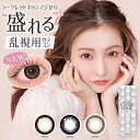 2箱 乱視用 シークレットキャンディーマジックトーリックワンデー カラコン ワンデー 1箱10枚 20枚 板野友美 度あり 度なし No.5 ブラック 5番 DIA14.5mm カラーコンタクト SECRET CANDYMAGIC TORIC 1day キャンマジ キャンディマジック ともちん ギャル デカ目 送料無料