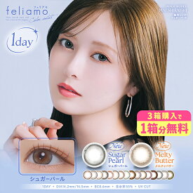 【1箱分無料クーポン有】フェリアモワンデー カラコン 1箱10枚 白石麻衣 度あり 度なし DIA14.2mm/14.5mm カラーコンタクト feliamo まいやん ナチュラル 自然 色素薄い系 デカ目 送料無料