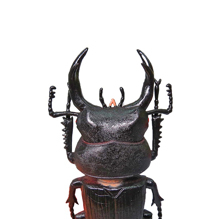 楽天市場】【5体セット ビッグ 甲虫 セット フィギュア 】昆虫