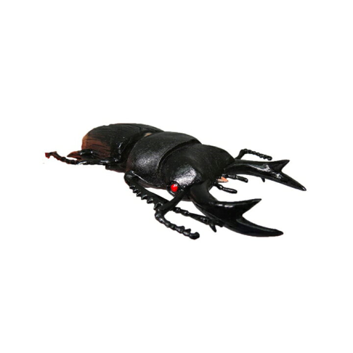 楽天市場 5体セット ビッグ 甲虫 セット フィギュア 昆虫 ヘラクレスオオカブト ミヤマクワガタ 虫 ムシ カブトムシ クワガタムシ クワガタ 模型 子ども ヘラクレス 夏 カブト ムシキング ヤマトカブトムシ おもちゃ 人形 オオカブト ディスプレイ 大きい Pirates