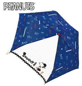 JPyXk[s[@܂肽ݎP@53cm@nbg@90427z܂݁@P@܏P@܏ݎP@܂ݎP@J@JP@@LN^[P@J̓ObY@~J@ʋ΁@ʊw@wZ@wP